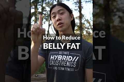 How to Lose Belly Fat