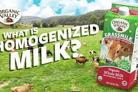 What is Homogenized milk? | Ask Organic Valley