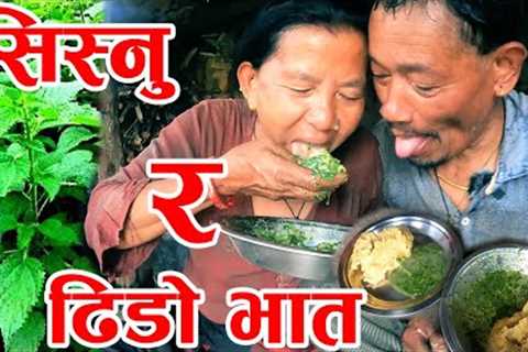 Nepali Organic Food SISNU and DHIDO 🌶️ village food 🍃 sisno and dido countryside 🌱Cooking In..