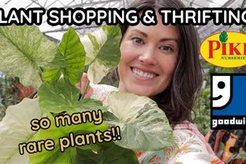 RARE Variegated Alocasia At Pike''s Nursery?! Pot Thrifting At Goodwill! Plant Shopping & Plant ..