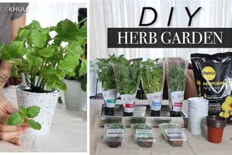 DIY INDOOR HERB GARDEN for BEGINNERS | Julie Khuu