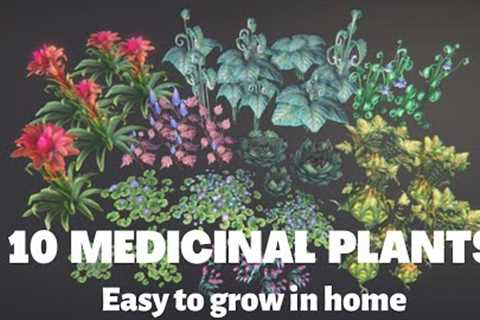 MEDICINAL PLANTS TO GROW IN HOME | HEALTHY PLANTS | TOP 0''s