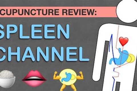 Points Review: Spleen Channel Acupuncture Meridian