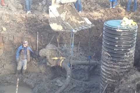 Prehistoric Discovery: Farmers Unearth Sensational Woolly Mammoth Hidden Beneath Soybean Field