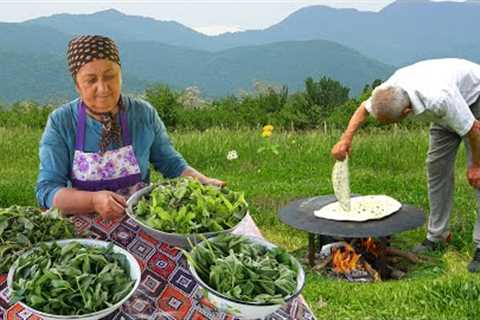 How to Grow Vegetables from Seed - Rainy Day in the Village