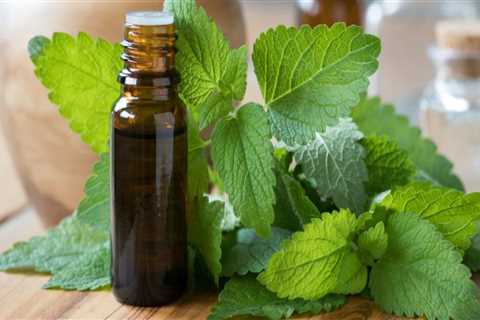 Essential Oils for Herpes: Natural Remedies and Treatments