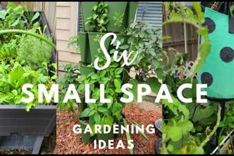 6 Ideas for small space gardening! You can grow food too!