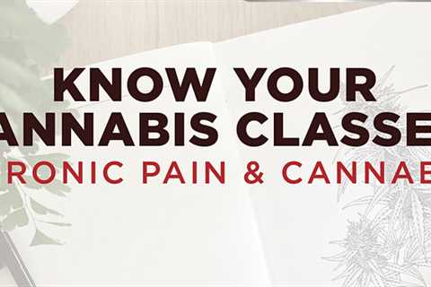 Cannabis & Chronic Pain