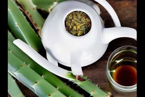 10 Benefits of Aloe Blossom Herbal Tea