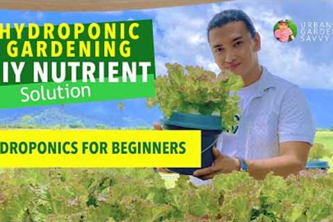 Hydroponic Gardening | DIY NUTRIENT SOLUTION | Hydroponics for Beginners | LETTUCE