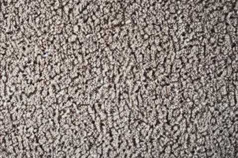 How To Get Mold Out Of Carpet