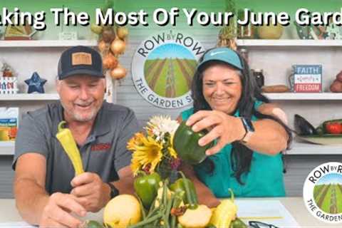 What Should You Be Doing Now? | Gardening In June