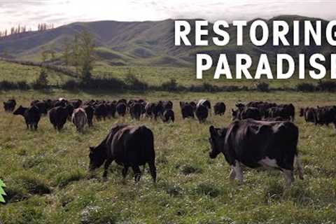 Farming Sustainably with Regenerative Agriculture | Restoring Paradise