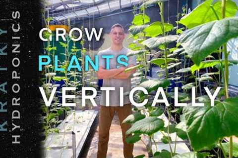 Vertical Hydroponics Farming System: Growing From The Ground Up