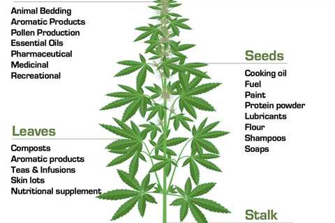 A cool chart describing how the different parts of the plant can be used.…