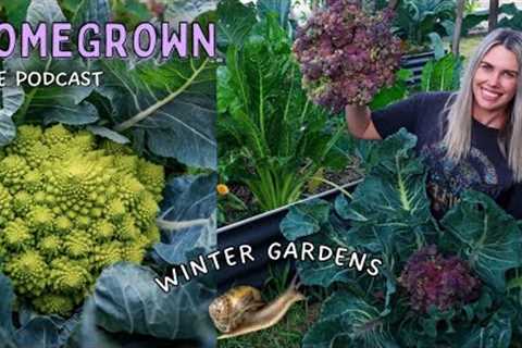 Abundant Winter Gardens: Seasonal Gardening Tips and To-Do Lists