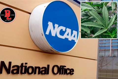 NCAA committee recommends dropping marijuana from banned drug list for athletes…