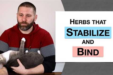 🌿 Herbology 3 Review - Herbs that Stabilize and Bind (Extended Live Lecture)