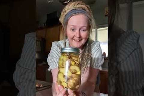 Let''s make a Ginger Root tincture!