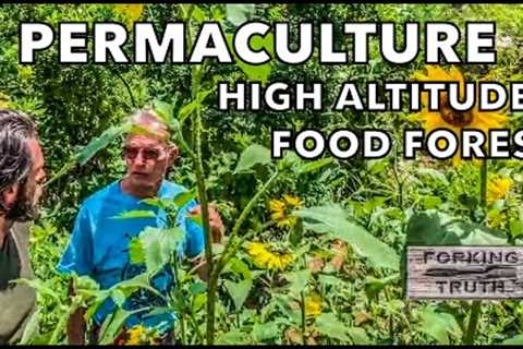 Sustainability & Farm to Table Show | #13 High Altitude Permaculture Food Forest