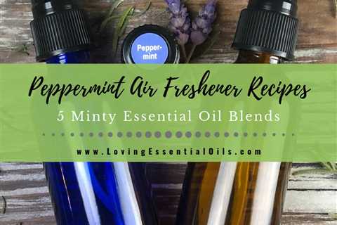 Peppermint Air Freshener Recipes - DIY Mint Oil Room Sprays