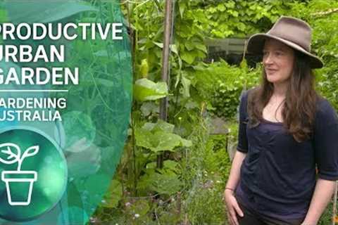 A highly productive small-scale urban garden | Urban Farming | Gardening Australia