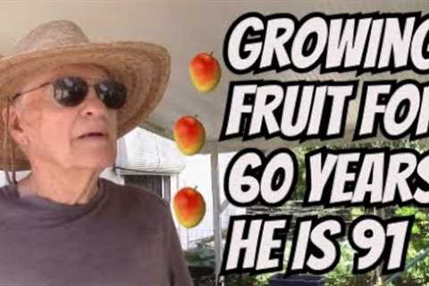 Growing Mangos In Central Florida at 91 Years Old