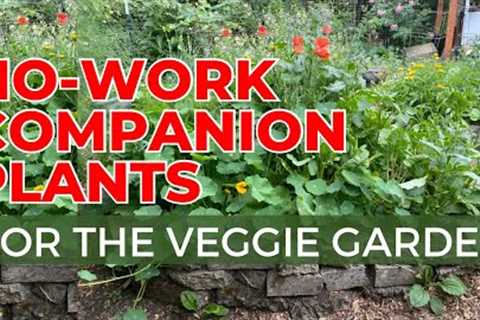 7 No-Work Companion Plants for the Veggie Garden - Sow Once, and Enjoy for Years!