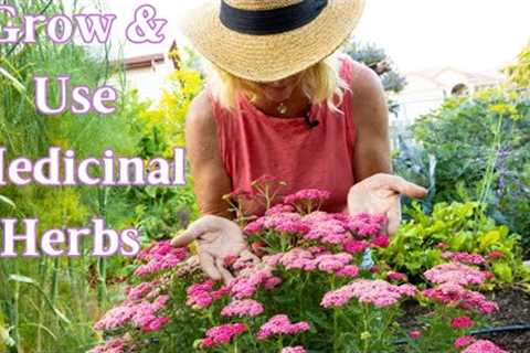 Grow Medicinal Herbs for the Garden & Homestead