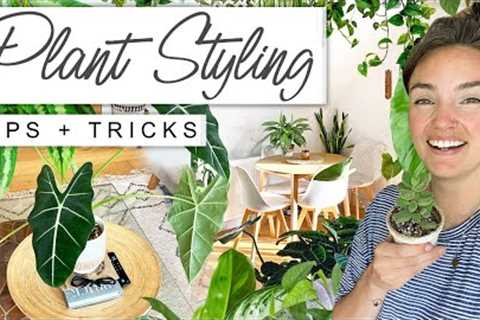 Amazing Plant Styling TIPS + TRICKS To Jungle-fy Your Home 🌿