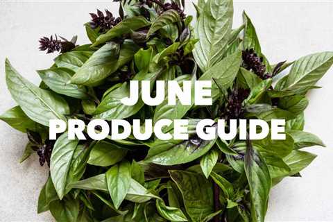 What’s in Season: June Produce Guide