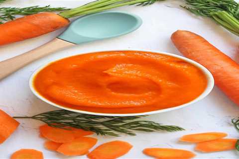 Carrot Baby Food: A Stage 1 Puree