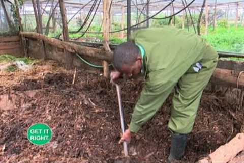 Composting and using insects to produce manure in an organic farm - Part 1