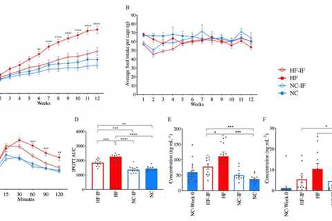 Intermittent Fasting and the Role of Glucagon