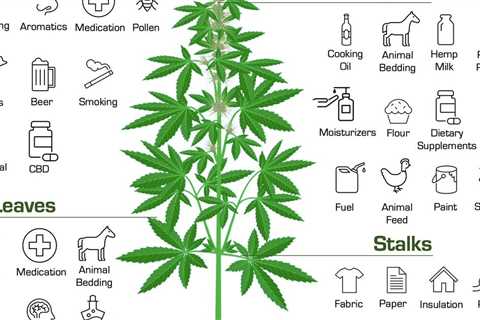 A simple chart showing some of the many uses of the plant   #Mmemberville…