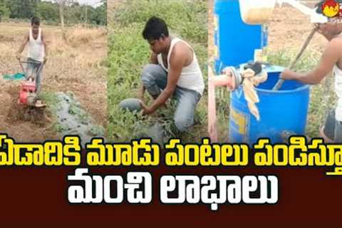 Benifits Of Organic Farming | vegetable farming | Jagtial Dist | @SakshiTVSagubadi