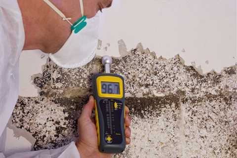 Detect Mold In Your Home