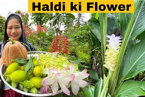 Haldi ki flower cooking kiya | Cooking and Eating Turmeric flower 🌸 recipe | Cook and Eat