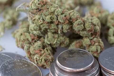 Michigan Marijuana Sales Hit Record High Of $261 Million In June, State Data Shows - Marijuana..