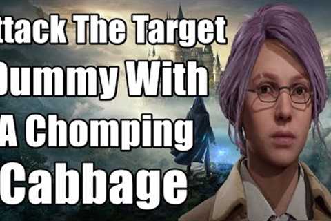 Hogwarts Legacy Attack The Target Dummy With A Chomping Cabbage - Herbology Class