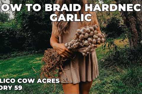 How to Braid Garlic | Daily Rhythms | Homestead Vlog