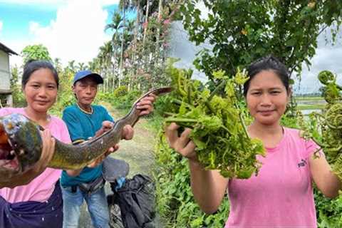 Cooking and Eating Fiddlehead Fern in the Jungle | Cleaning Eel Fish in traditional ways |