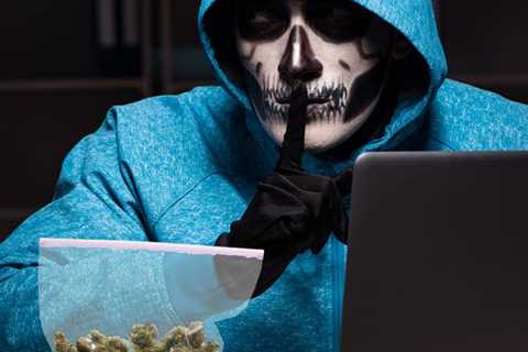 How to Avoid the Most Common Weed Scams Going Around Right Now