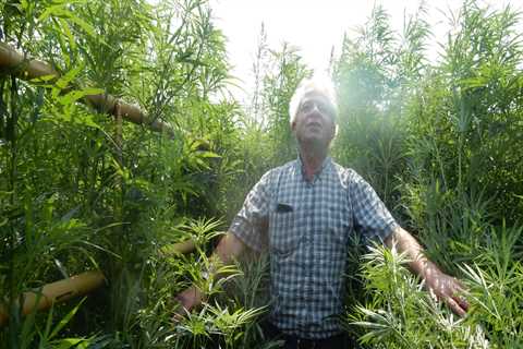 Where is the Best Place to Grow Hemp?