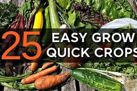 Fast Growing Crops for Quick Harvests | Garden Tour | Self-sufficient Abundance