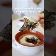 VEGAN ðLemon ð«Blueberry Poppyseed Mug Cake