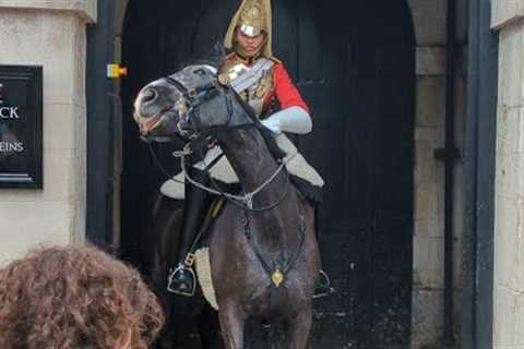 Ouch! King''s Horse Stung By A Wasp!