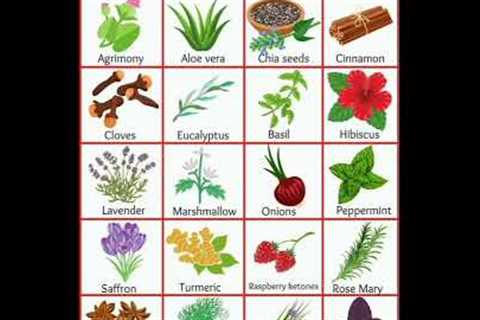 Herbs names in english  #englishgrammer #angelmathsmentor19 #healthy #herbal #shorts #gkquestion