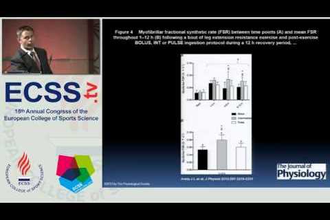 SPORTS NUTRITION: FROM SCIENCE TO RECOMMENDATIONS SPONSORED BY GSSI: ANABOLISM, Phillips, S.