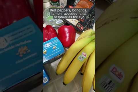 Vegan Grocery Shopping Haul for a Family of 5! #shorts #vegan #groceryhaul